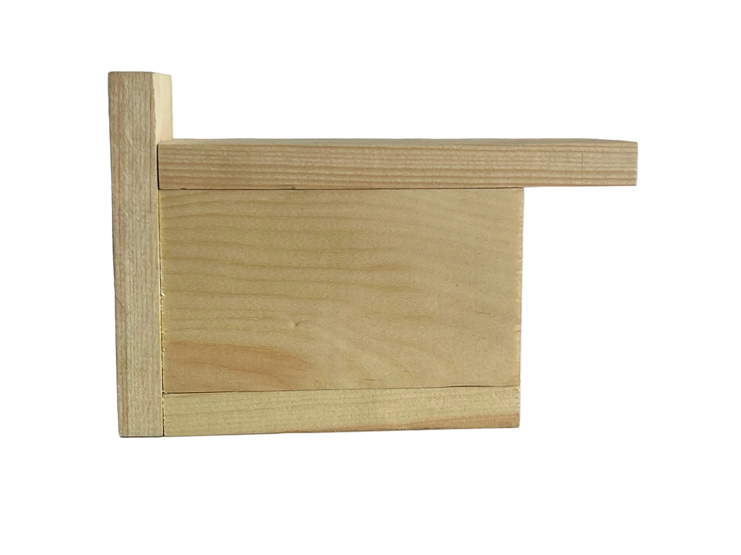 Paint Your Own Pollinator Box
