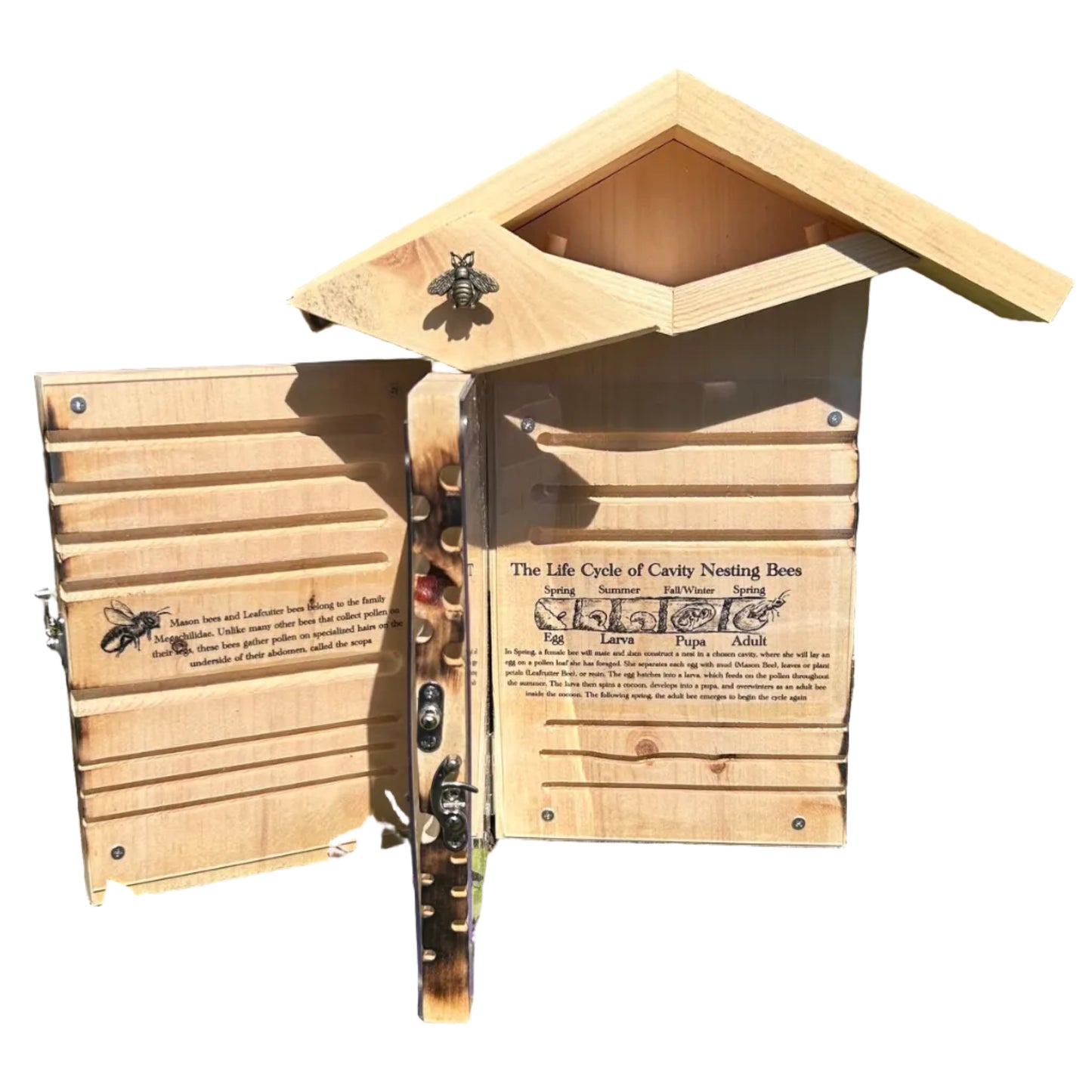 Preorder The Bee Book