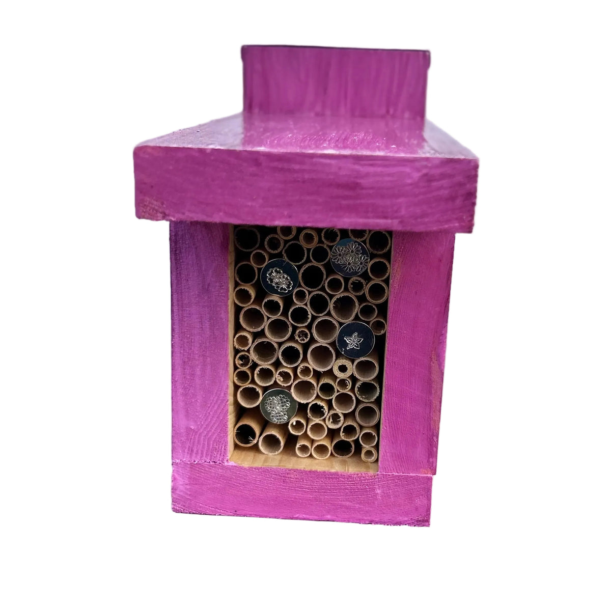 Sugar Skull Pollinator Box