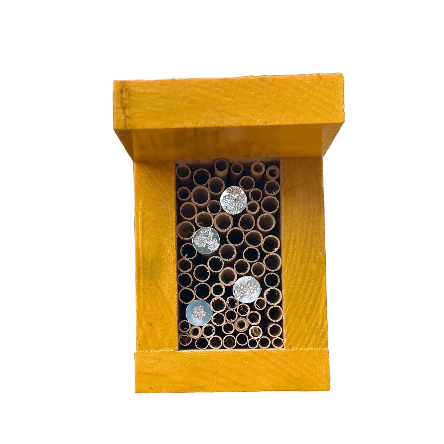 Gecko Pollinator Box