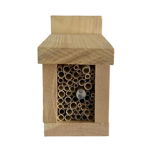 Paint Your Own Pollinator Box