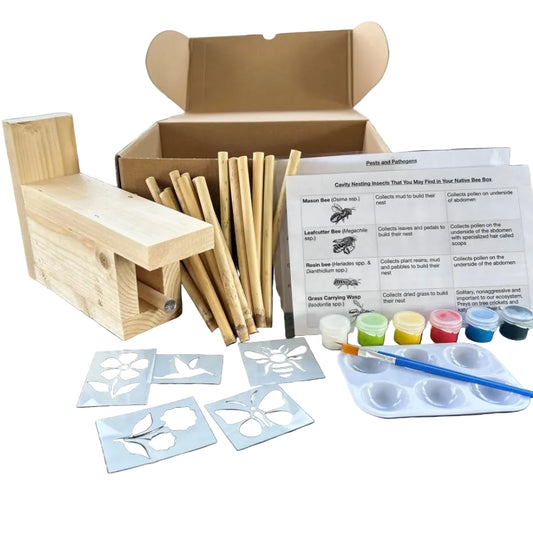 Paint Your Own Pollinator Box